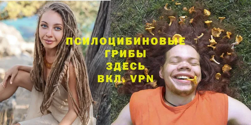 Галлюциногенные грибы Psilocybe  Раменское 